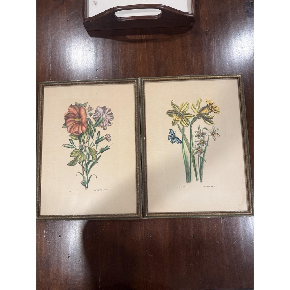 Jo. Jacobus de Rubeis Botanical Flower Prints Framed Pair Hand Colored Style